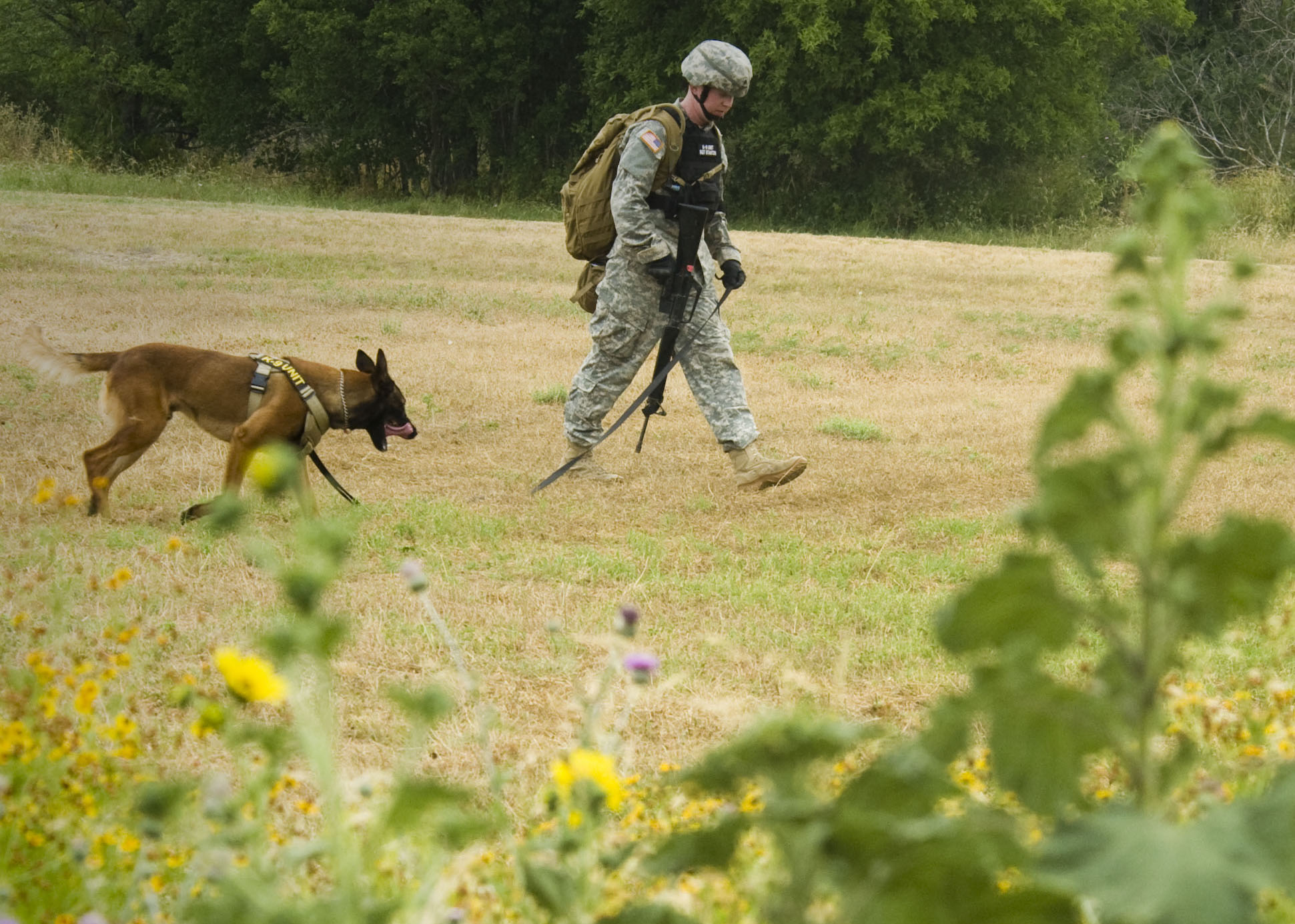 10 Air Force teams compete for top dog honors > 33rd Fighter Wing > Article Display