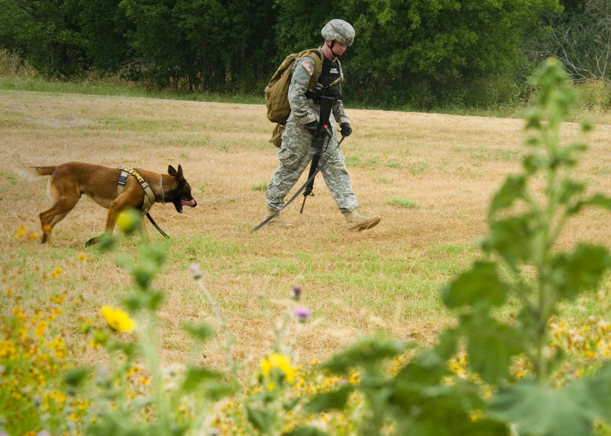 Army Sgt. Nathan Stanton and his military working dog search for narcotics during the Department of Defense Military Working Dog K-9 Trials held at Joint Base San Antonio-Lackland, Texas, May 4, 2012. The K-9 Trials are intended to showcase the best K-9 teams throughout the armed services. (U.S. Air Force photo/Senior Airman Corey Hook)