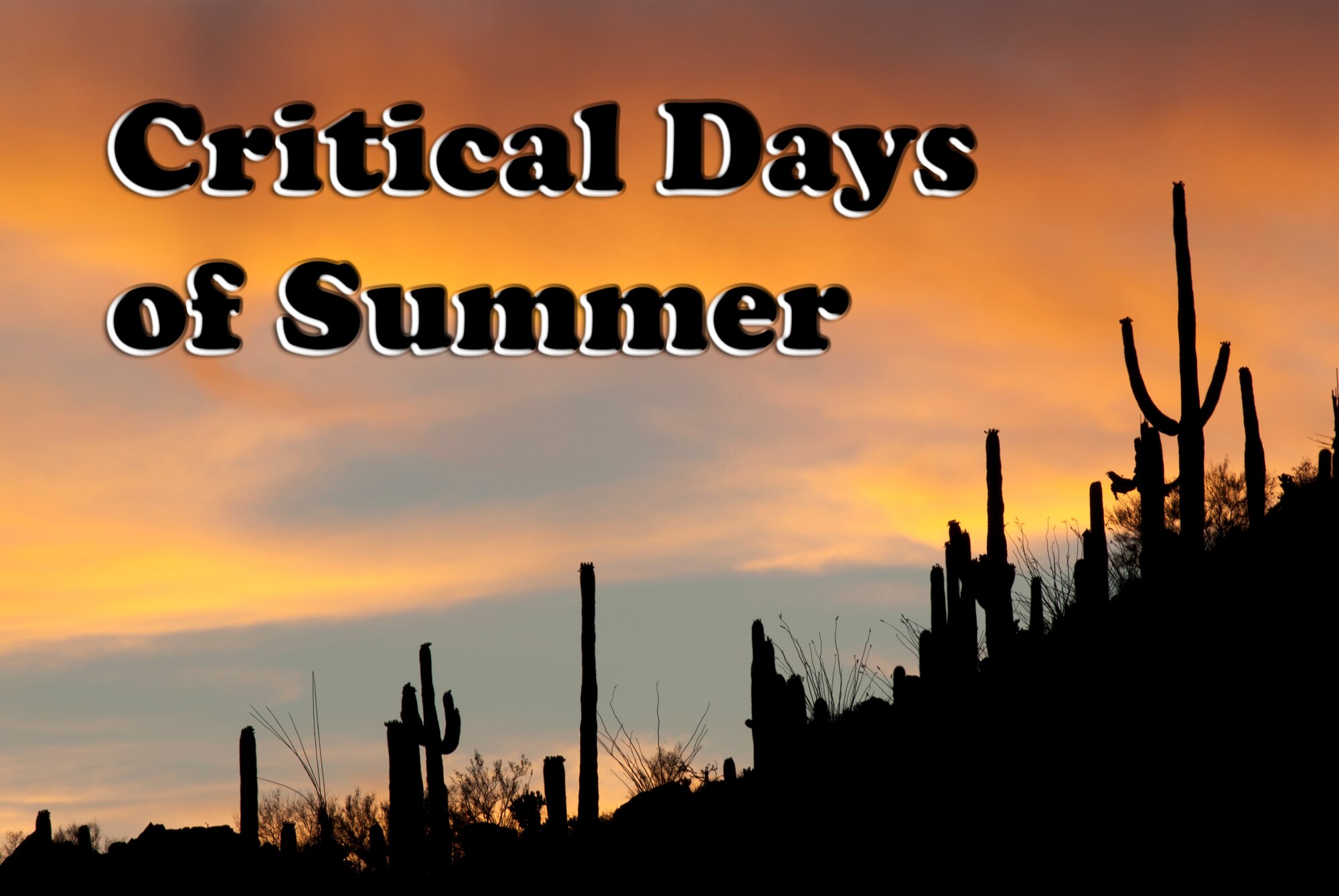 Critical Days of Summer, 162nd Fighter Wing safety tips. (U.S. Air Force photo/Tech. Sgt. Hollie Hansen)