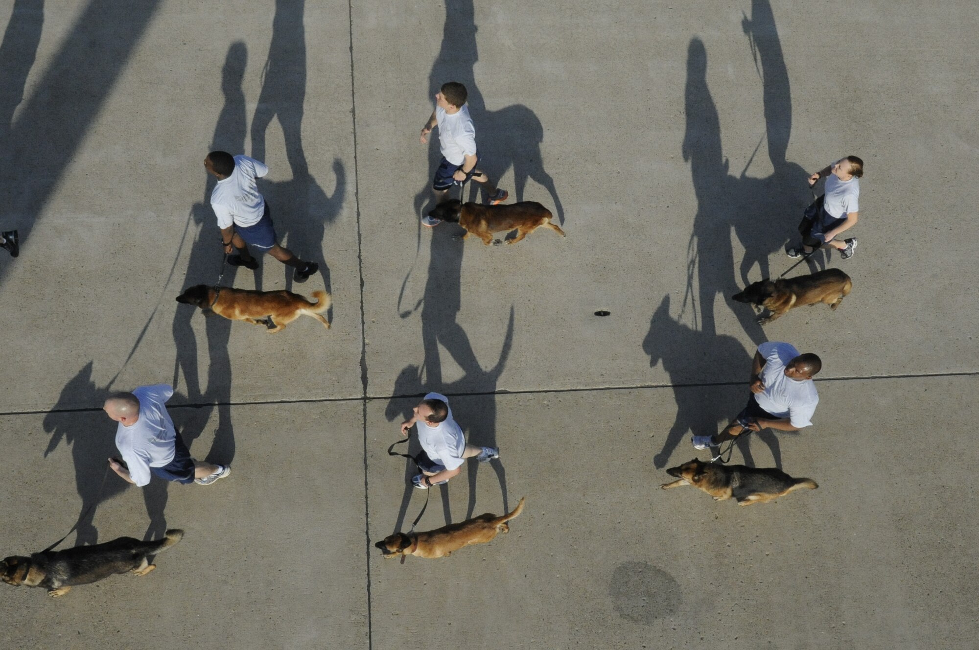 Military working dogs and their handlers run alongside each other during a Warrior Run on Kunsan Air Base, Republic of Korea, May 4, 2012. Members of the 8th Fighter Wing kicked off their Post-CUI Block Party with an early morning run down the flightline. (U.S. Air Force photo/Senior Airman Jessica Hines)