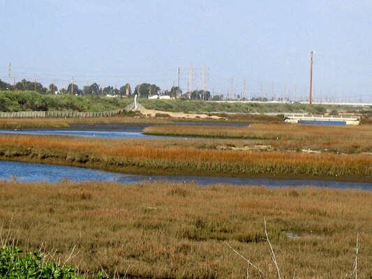 NEWPORT BEACH, Calif. — An environmental restoration project will remove 50,000 cubic yards of material from a marsh at the mouth of the Santa Ana River, improving degraded habitat that has adversely affected endangered species that use it as a nesting ground.