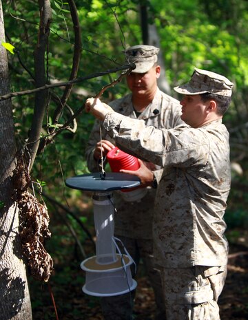 Sailors with the Preventive Medicine Unit, 2nd Marine Logistics Group, place traps along a tree line aboard Camp Lejeune, N.C., May 8, 2012. Throughout the year, PMU performs many tasks to keep the living conditions on base at a high standard. The unit is now working hard as the summer months approach to catch and test mosquitoes from across the base for malaria. (U.S. Marine Corps photo by Pfc. Franklin E. Mercado)