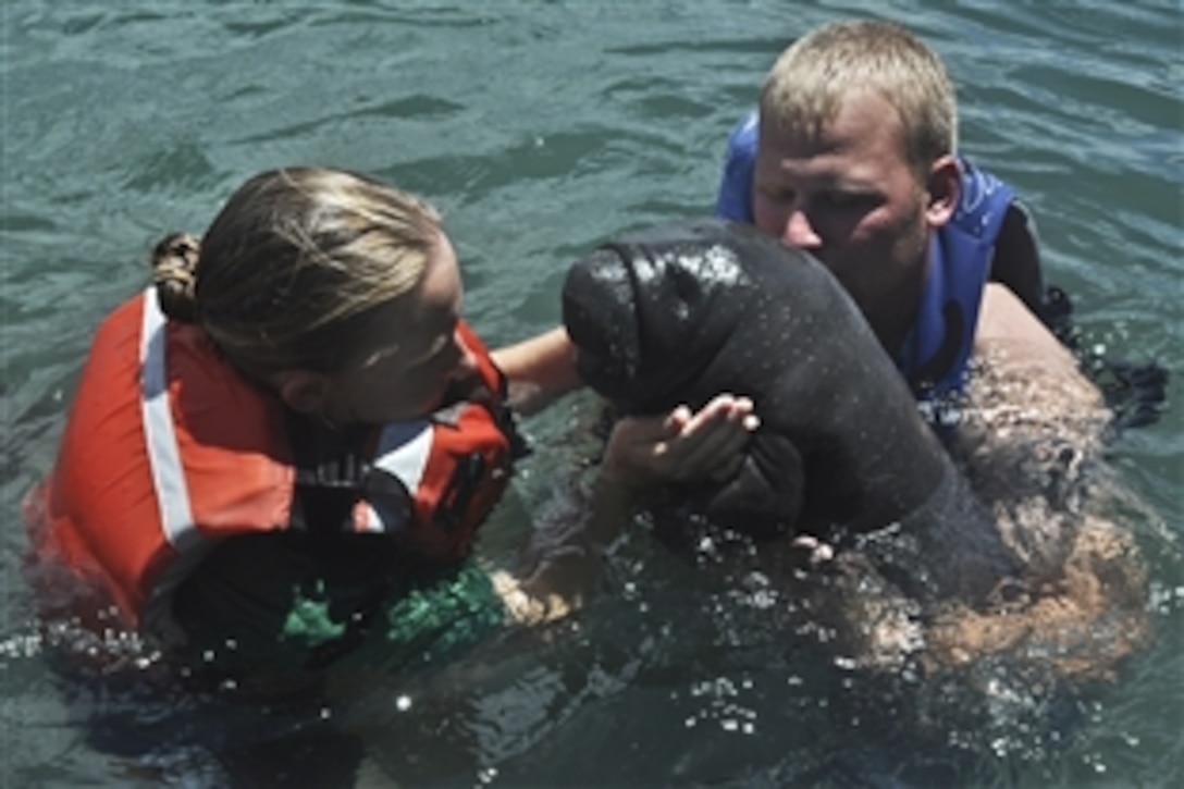 U.S. Army Capt. Miriam Lovell, the officer-in-charge of the Veterinary Treatment Facility at Naval Station Guantanamo Bay, Cuba, and U.S. Navy Petty Officer 2nd Class Travis Rader prepare an orphaned 3-day-old manatee for transport by aircraft to Puerto Rico, May 3, 2012. The calf was taken to the Manatee Conservation Center located at Interamerican University in Bayam, Puerto Rico, where it will stay for two years before being returned to Cuban waters and tracked.