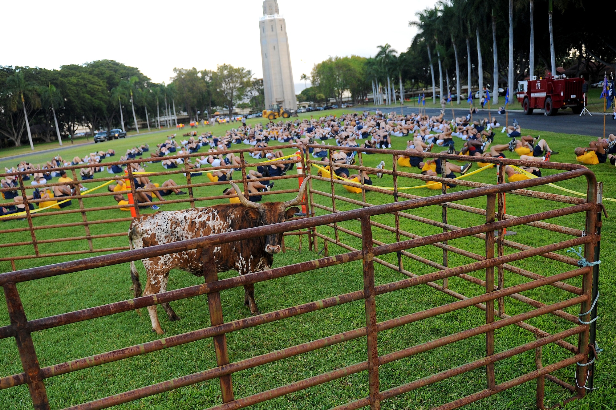 Members of the U.S. Navy and Air Force Joint Base staff do jumping jacks together during the warm up session of the monthly Team Hickam Warrior Run May 3, Joint Base Pearl Harbor-Hickam, Hawaii. This event was sponsored by the 647th Civil Engineers Squadron and their Prime BEEF Airmen. Prime BEEF, is a Prime Base Engineer Emergency Force is a rapidly deployable, specialized civil engineer unit of the Air Force Prime BEEFs provide a full range of engineering support required to establish, operate, and maintain garrison and contingency airbases. The Prime BEEF motto is "If you mess with the bull, you get the horns." (U.S. Air Force photo/Staff Sgt. Mike Meares)