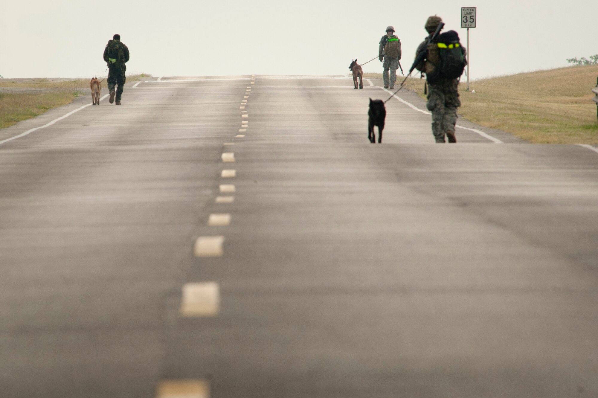 More than 40 competitors from the Army, Navy, Air Force and Marines complete a 6-mile Iron Dog obstacle course during the Department of Defense Military Working Dog Trials at Joint Base San Antonio-Lackland, Texas, May 4, 2012.  (U.S. Air Force photo/Senior Airman Corey Hook)