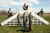 From left to right up top: Military Working Dog Handler Staff Sgt. Daniel Rumfelt, Military Working Dog Kety, MWD Handler Tech. Sgt. Mark Jenner, MWD Kitty, MWD Handler Tech. Sgt. Willis Asbury, MWD Roko; from left to right bottom: Chief Master Sgt. Kevin Jurgella and Tech. Sgt. Randy Akin, MWD Handler Staff Sgt. David Wyrick; up front: MWD Handler Staff Sgt. Christopher Bennett, MWD Arno.

MINOT AIR FORCE BASE, N.D. -- The 5th Security Forces Squadron K-9 section is comprised of nine handlers and nine Military Working Dogs, responsible for providing immediate explosive and drug detection in support of Minot Air Force Base’s resources and over 17,000 residents.  Although most personnel see the dogs conducting vehicle searches at the main gate, their primary responsibility is to provide support to the Weapons Storage Area and associated nuclear security operations. The military working dog is a vital asset commonly called upon by Secret Service, Office of Special Investigations and state and federal organizations from Devil’s Lake to the Montana border. Over the last couple of years the 5th SFS K-9 section has been called upon to avert 8 civilian bomb threats, 6 counter drug operations and most importantly, secure locations during 27 POTUS visits around the world. (U.S. Air Force photo/Airman 1st Class Kristoffer Kaubisch)