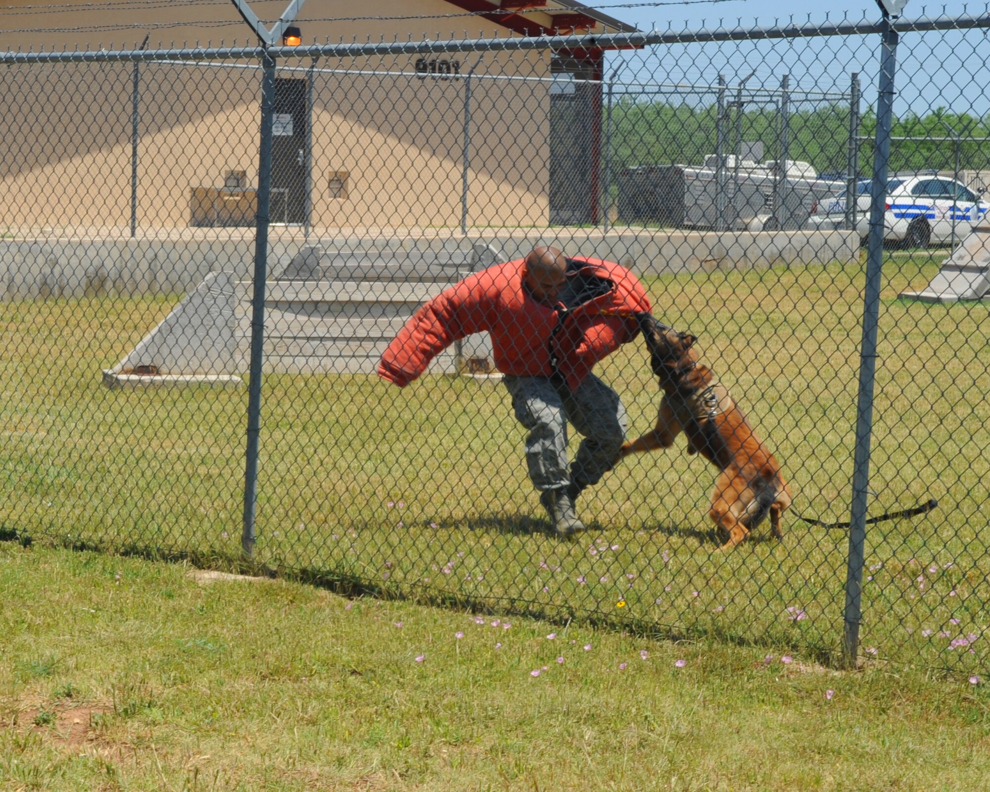 U.S. Air Force Staff Sgt. Jesus Duran, 7th Security Forces Squadron, gets attacked by Fforde, military working dog, during a demonstration for JROTC students, May 9, 2012, at Dyess Air Force Base, Texas. The students from Central High School, San Angelo, Texas visited Dyess to tour different parts of the base. (U.S. Air Force photo by Airman 1st Class Cierra Bullock/Released)