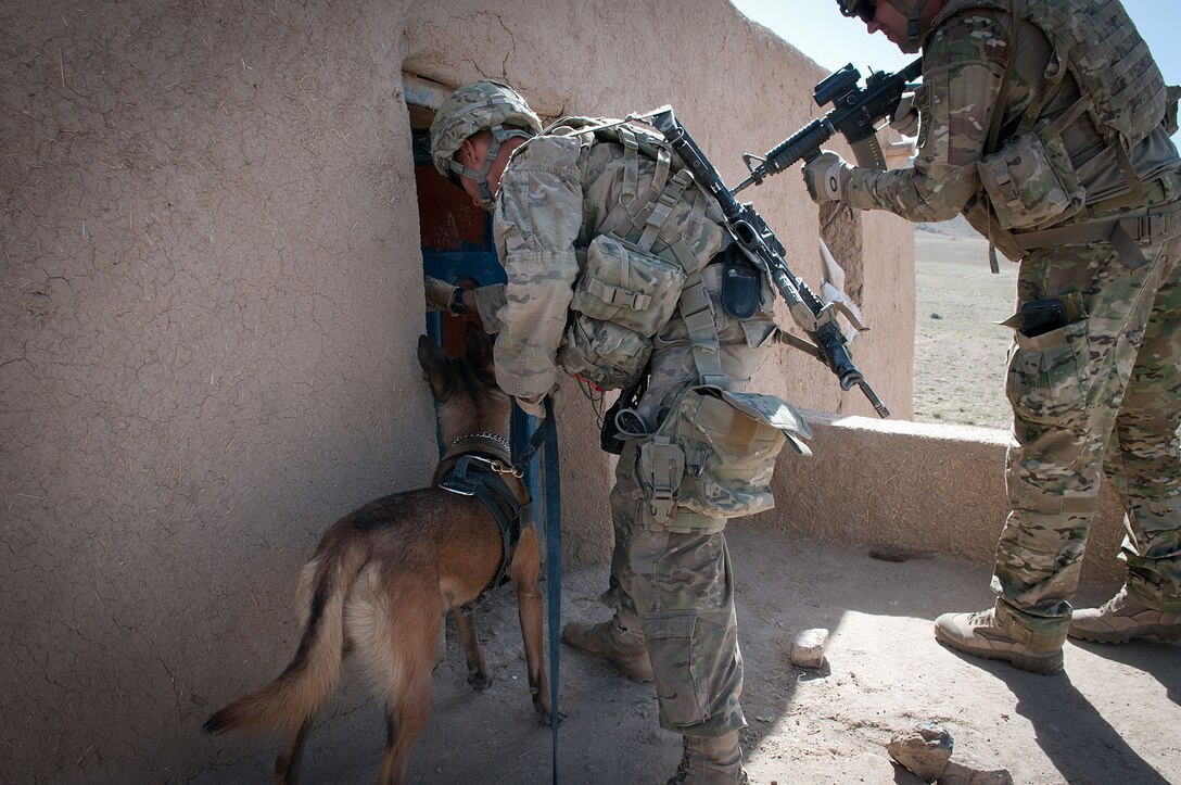U.S. Army Staff Sgt. Harry Dixon leads a Belgian Malinois into a suspected homemade explosives factory in Afghanistan's Ghazni province, May 4, 2012. Dixon, a dog handler, is assigned to the 82nd Airborne Division’s 1st Brigade Combat Team.