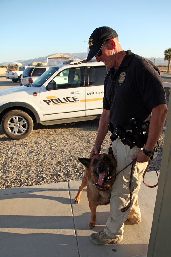 Military working dog Rex soaks in the loving scratches from his handler, Myke Erdmann, in between vehicle searches May 14, 2012. The pair, along with handler Joshua Billig and his parnter Dennis, searched vehicles and luggage entering the base. All four work with the Combat Center's Provost Marshal's Office. (Official USMC photo by Sgt. Heather Golden / Released)