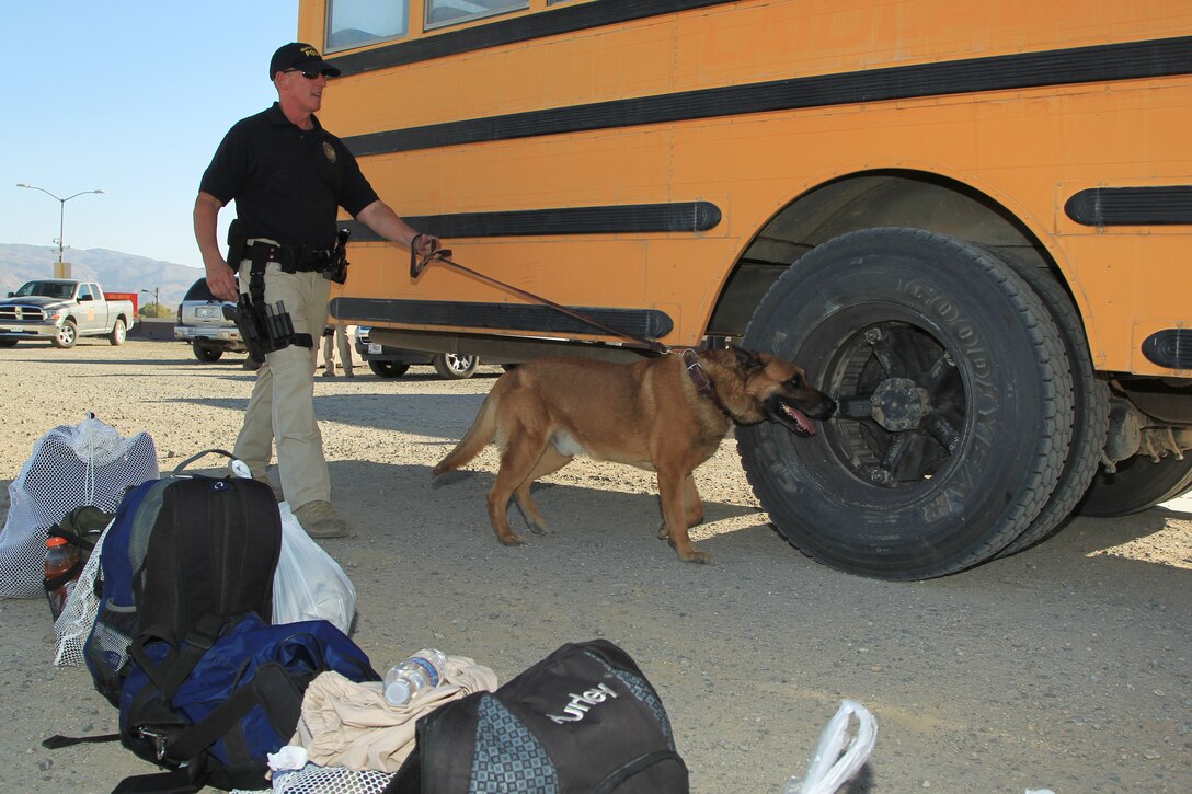 Handler Myke Erdmann and his military working dog partner Rex search a bus for contraband before it and it's passengers are allowed to enter the base May 14, 2012. Rex has been deployed six times and is set to retire soon. (Official USMC photo by Sgt. Heather Golden / Released)