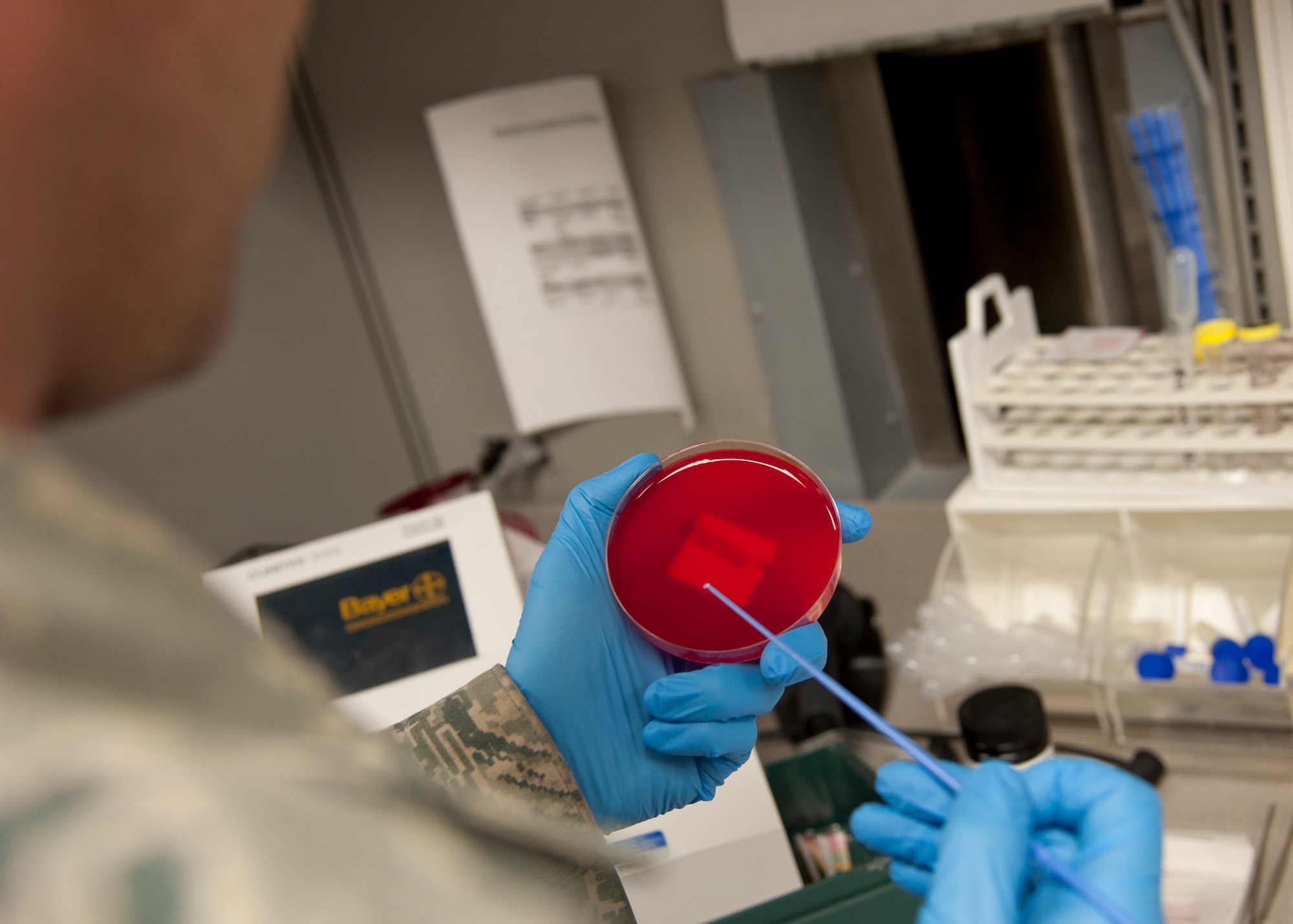 HOLLOMAN AIR FORCE BASE, N.M. — Airman 1st Class Devin Adrian, 49th Medical Support Squadron laboratory technician, tests a throat swab sample for bacteria April 25 at the medical laboratory clinic. The medical laboratory is certified by the College of America Pathologists. The certification means Holloman’s laboratory has good lab practices, follows Occupational Safety and Health Administration rules, and maintains good quality control that produces accurate results. (U.S. Air Force photo by Airman 1st Class Colin Cates/Released)