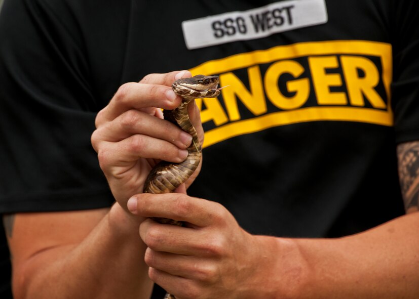 Staff Sgt. West, of the 6th Ranger Training Battalion, displays a poisonous snake for the crowd attending the Ranger’s annual open house event, May 12 at Eglin Air Force Base, Fla.  The event was a chance for the public to learn how Rangers train and operate. The event displays showed dive equipment, weapons, a reptile zoo and zodiac boats among others. The demonstrations showed off hand-to-hand combat, a parachute jump, a down-pilot scenario and others.  (U.S. Air Force photo/Samuel King Jr.)