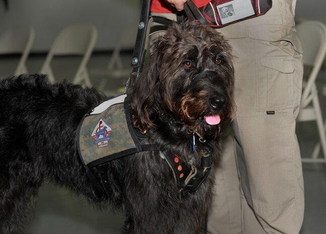 Retired Marine Staff Sgt. Dean Suthard stands with his new service dog, Esther, during a ceremony at the Naval Consolidated Brig Charleston May 9. During the ceremony, NCBC, in partnership with Carolina Canines for Service, presented Suthard, a wounded service member, his service dog. CCFS is a non-profit health and human services organization that trains service dogs for veterans with disabilties. (U.S. Air Force photo/Airman 1st Class Ashlee Galloway)