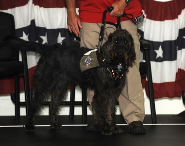 Retired Marine Staff Sgt. Dean Suthard stands with his new service dog, Esther, during a ceremony at the Naval Consolidated Brig Charleston May 9. During the ceremony, NCBC, in partnership with Carolina Canines for Service, presented Suthard, a wounded service member, his service dog. CCFS is a non-profit health and human services organization that trains service dogs for veterans with disabilties. (U.S. Air Force photo/Airman 1st Class Ashlee Galloway)