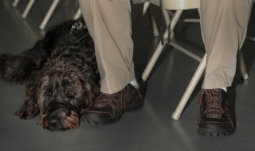 Retired Marine Staff Sgt. Dean Suthard stands with his new service dog, Esther, during a ceremony at the Naval Consolidated Brig Charleston May 9. During the ceremony, NCBC, in partnership with Carolina Canines for Service, presented Suthard, a wounded service member, his service dog. CCFS is a non-profit health and human services organization that trains service dogs for veterans with disabilties. (U.S. Air Force photo/Airman 1st Class Ashlee Galloway)