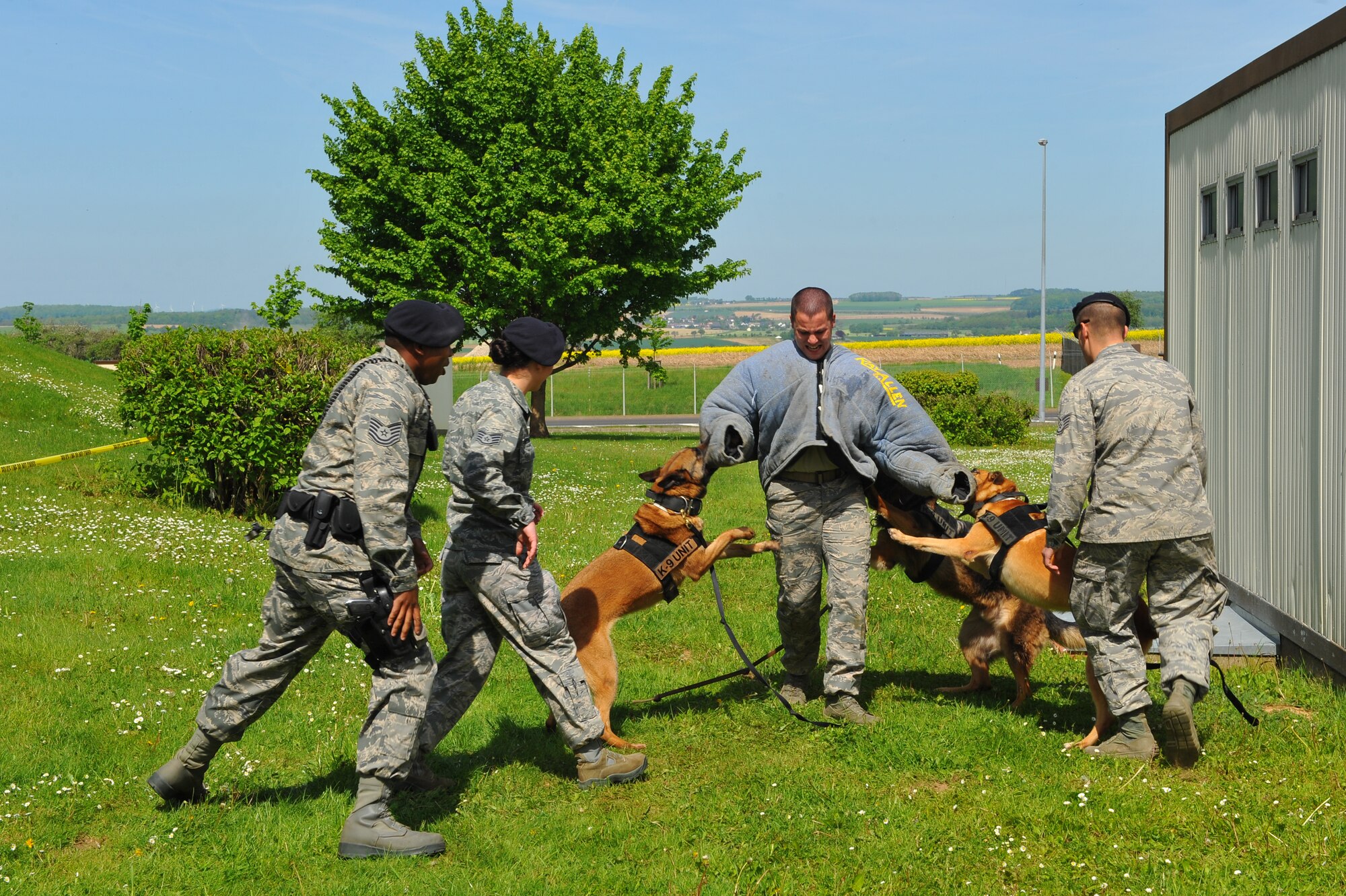 SPANGDAHLEM AIR BASE, Germany – Military working dogs and their handlers demonstrate how three dogs can be used to subdue a single suspect as a part of National Police Week outside the Spangdahlem Commissary May 14. The 52nd SFS put on multiple demonstrations such as military working dog capabilities, weapons and combat vehicle displays and taser demonstrations to give spectators an insight into various aspects of security forces capabilities. National Police Week is held annually during the week of May 15 and honors all law enforcement members who have died. National Police Week events continue this week with an annual ruck march around the base May 16 at 10 a.m. and the defender decathlon May 17 beginning at 9 a.m. on Perimeter Road here. (U.S. Air Force photo by Airman 1st Class Dillon Davis/Released)