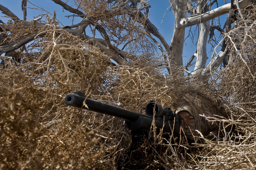 U.S. Air Force Staff Sgt. Alyssa Gomez, 99th Ground Combat Training Squadron instructor, demonstrates how camouflaged ghillie suits blend into their surroundings, May 11, 2012, at the Nevada Test and Training Range. Sniper wear ghillie suits to blend into their surroundings and conceal themselves from enemies or targets. (U.S. Air Force photo by Airman 1st Class Daniel Hughes)

