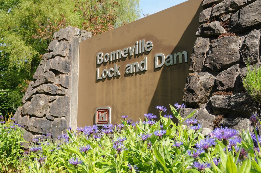 Flowers are blooming and the spring salmon are swimming past the fish ladders.  There’s no better place to celebrate a fine spring day – families are welcome!