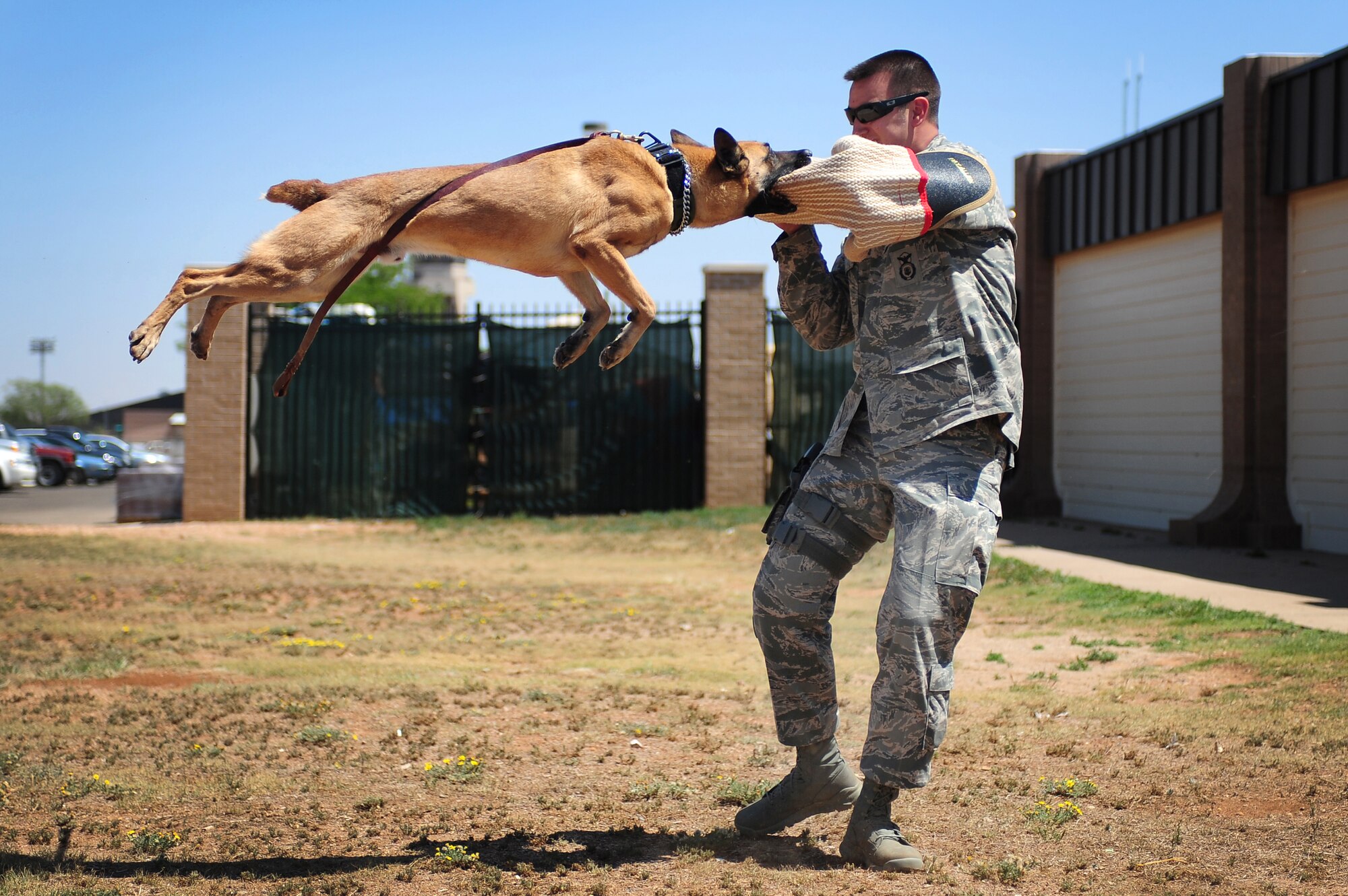 U.S. Air Force Staff Sgt. Kenneth Holt, 27th Special Operations Security Forces Squadron, uses a bite sleeve during a Military Working Dog demonstration at Cannon Air Force Base, N.M., May 16, 2012. The 27 SOSFS organized a MWD demonstration and weapons display for children from the Cannon Air Force Base Youth Center. (U.S. Air Force photo by Airman 1st Class Eboni Reece)