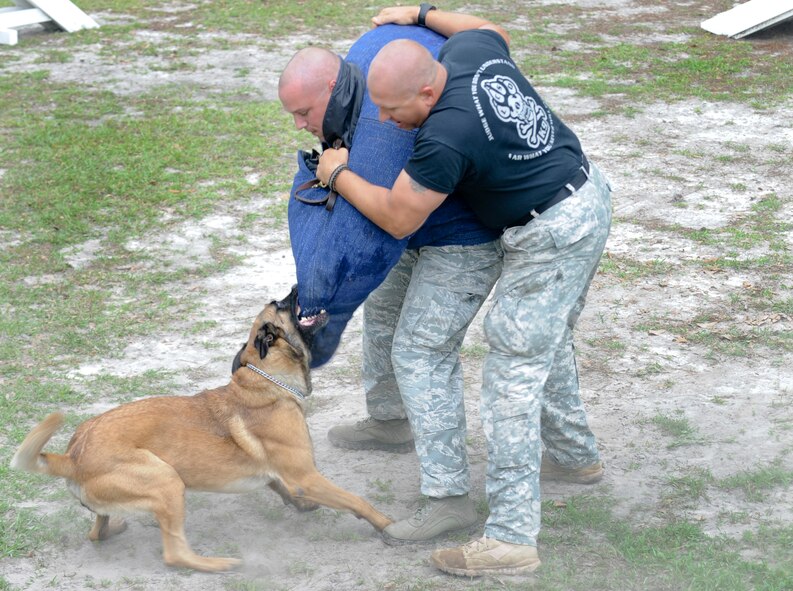 Anthony Catlett, Lowndes County deputy, and Seito, LCSO K-9, wrestle with Tech. Sgt. David Smith, 23d Security Forces military working dog trainer, during a police week competition at Moody Air Force Ga., May 15, 2012. Catlett and Seito were judged on how effective they were when confronted by an aggressive threat. (U.S. Air Force photo by Airman 1st Class Douglas Ellis/Released) 

