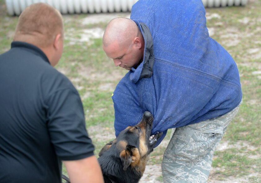 Derrik McLeod, Lowndes County deputy, watches as Pedro, LCSO K-9, bites Tech. Sgt. David Smith, 23d Security Forces military working dog trainer, during police week at Moody Air Force Ga., May 15, 2012. The dogs bite as a way to bring down an aggressor. (U.S. Air Force photo by Airman 1st Class Douglas Ellis/Released)
