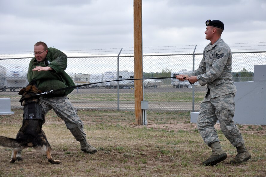 Senior Airman James Miller, 90th Security Forces Squadron K-9 handler, fights off military working dog “Kichi” as Staff Sgt. Stephen Showmaker, 90th SFS K-9 handler, gives orders during a training exercise May 7. (U.S. Air Force photo by Airman 1st Class Dan Gage)