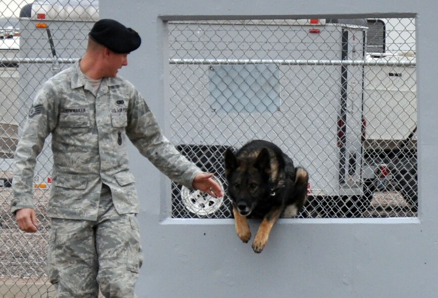 Staff Sgt. Stephen Showmaker, 90th Security Forces Squadron K-9 handler, meets military working dog “Kichi” as the German shepherd leaps through a window on Warren’s MWD training yard May 7. (U.S. Air Force photo by Airman 1st Class Dan Gage)