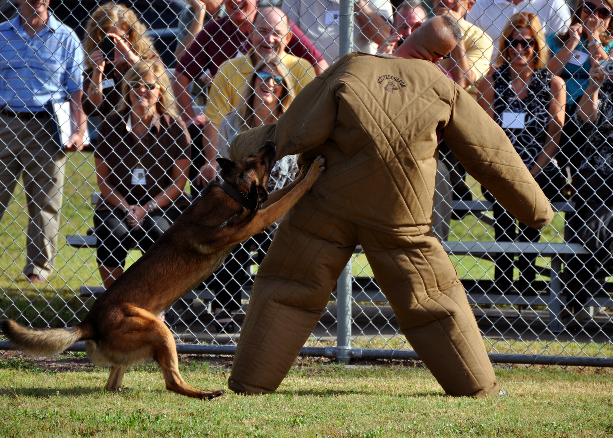 Staff Sgt. Robert Lewis, 6th Security Forces Squadron, acts as an aggressor for Razor during a military working dog capabilities demonstration for the 919th Special Operations Wing’s invited civic leaders touring MacDill AFB, Fla., recently.  Each year, the 919th SOW conducts a civic leader tour to help its community neighbors broaden their perspective of Air Force active duty and Reserve worldwide missions. (U.S. Air Force photo/Tech. Sgt. Jasmin Taylor)
