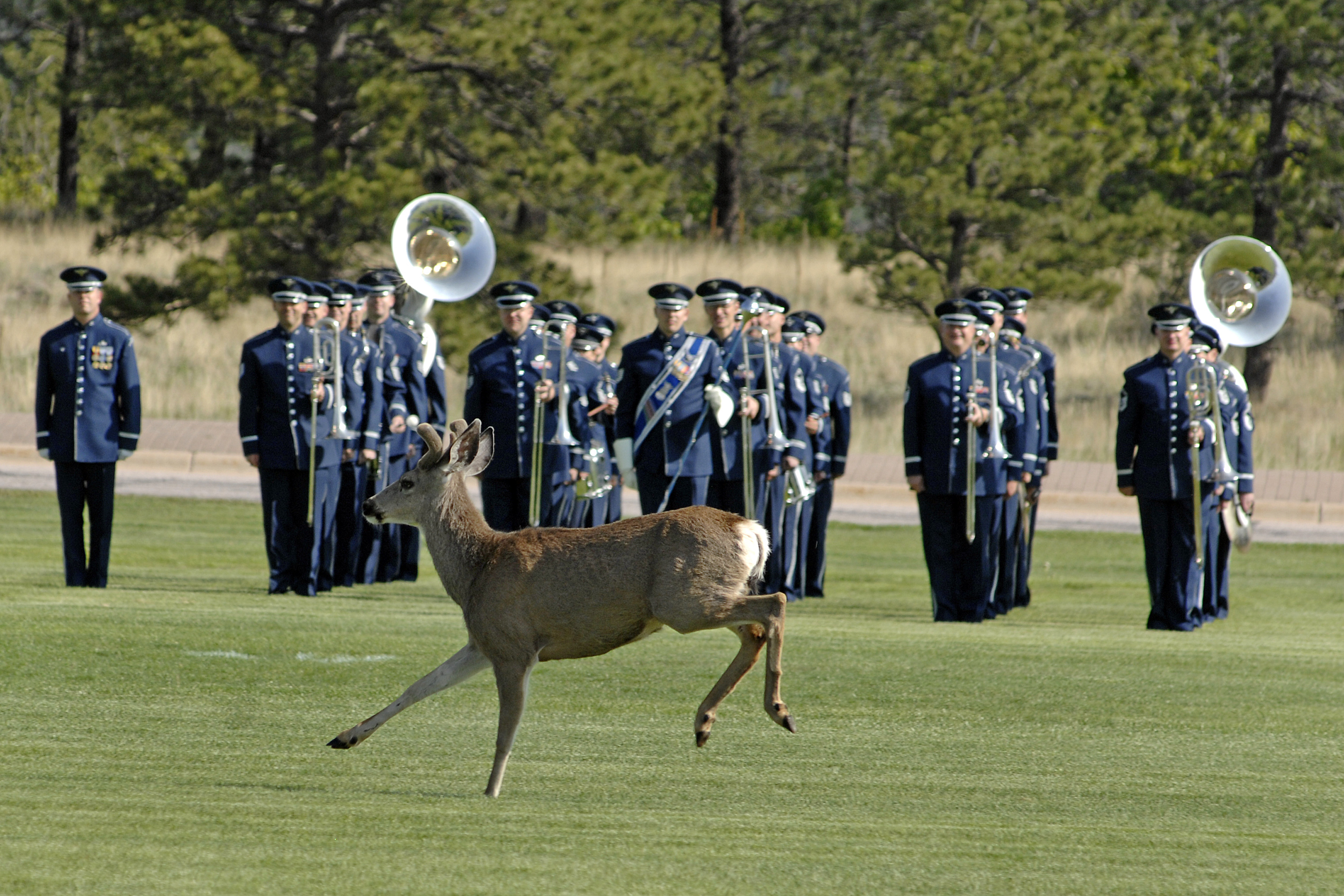 air force academy marching band
