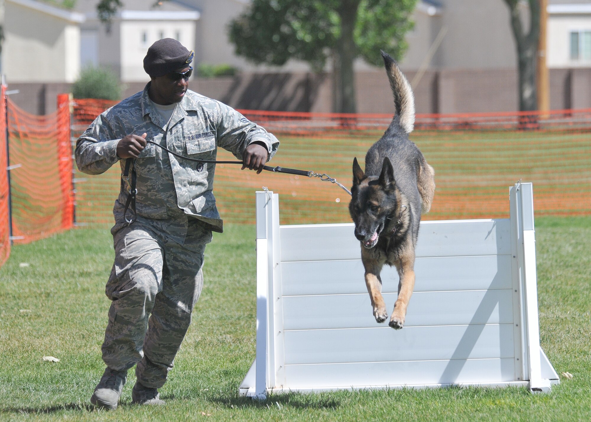 KIRTLAND AFB, N.M. -- Senior Airman Laquan Conner, 377th Security Forces Squadron, navigates “Capa” over a hurdle May 19 at the police dog trial during National Police Week. The dogs were judged on obedience and agility. (Photo by Todd Berenger)