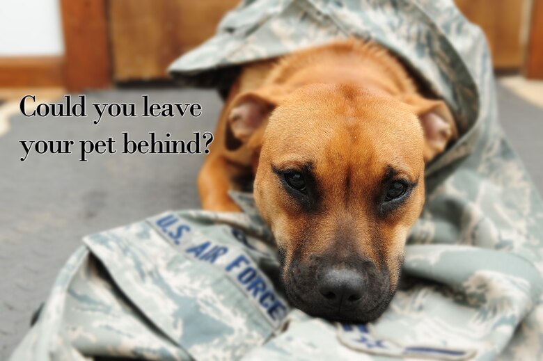 how much does it cost to euthanize my dog
