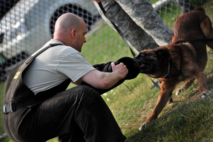 Tech. Sgt. Aaron Seligman, 8th Security Forces Squadron K-9 handler, practices confidence training during an aggression session with Military Working Dog Rico at Kunsan Air Base, Republic of Korea on May 23, 2012.  