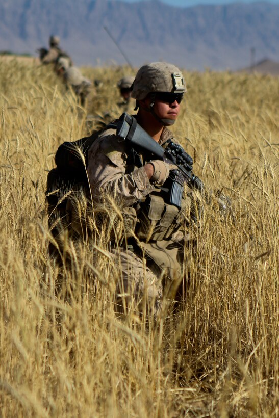 Petty Officer 3rd Class Norberto Zamora, a corpsman with 2nd Battalion, 5th Marine Regiment, takes a knee during a security halt, during Operation Jaws, May 27, 2012. The Marines and sailors with the battalion cleared compounds, searched for improvised explosive devices and destroyed enemy fighting position in and around the town of Zamindawar.