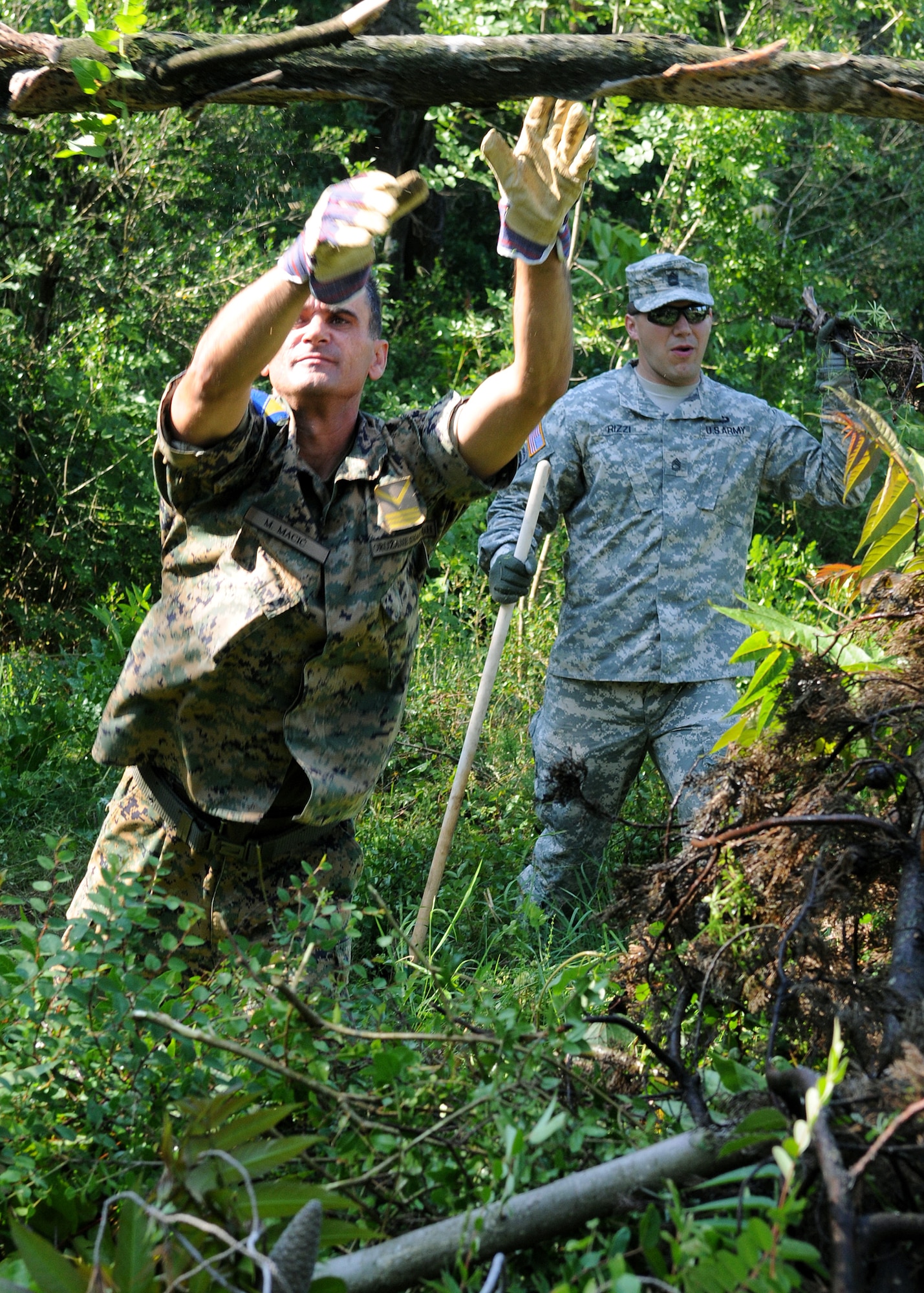 U.S. and Bosnian-Herzegovinian military members clear brush and overgrown vegetation at the Hutovo Blato National Forest here May 27, 2012. More than 150 Bosnian-Herzegovinian military and firefighters and U.S. service members worked together at the national forest to clean up damage caused by a fire in 2011. The goal of the event was to build camaraderie between the partnered nations before beginning Shared Resilience 2012, an annual U.S. Joint Chiefs of Staff-sponsored exercise May 28 - June 8.
