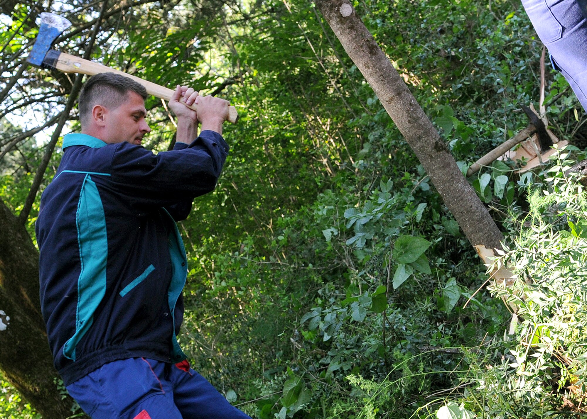 Mario Jerkic, a local firefighter, chops down a tree at the Hutovo Blato National Forest here May 27, 2012. More than 150 Bosnian-Herzegovinian military and firefighters and U.S. service members worked together at the national forest to clean up damage caused by a fire in 2011. The goal of the event was to build camaraderie between the partnered nations before beginning Shared Resilience 2012, an annual U.S. Joint Chiefs of Staff-sponsored exercise May 28 - June 8.