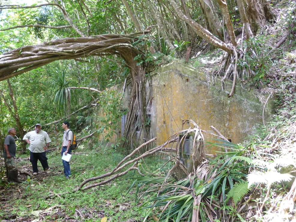 Pacific Jungle CTC