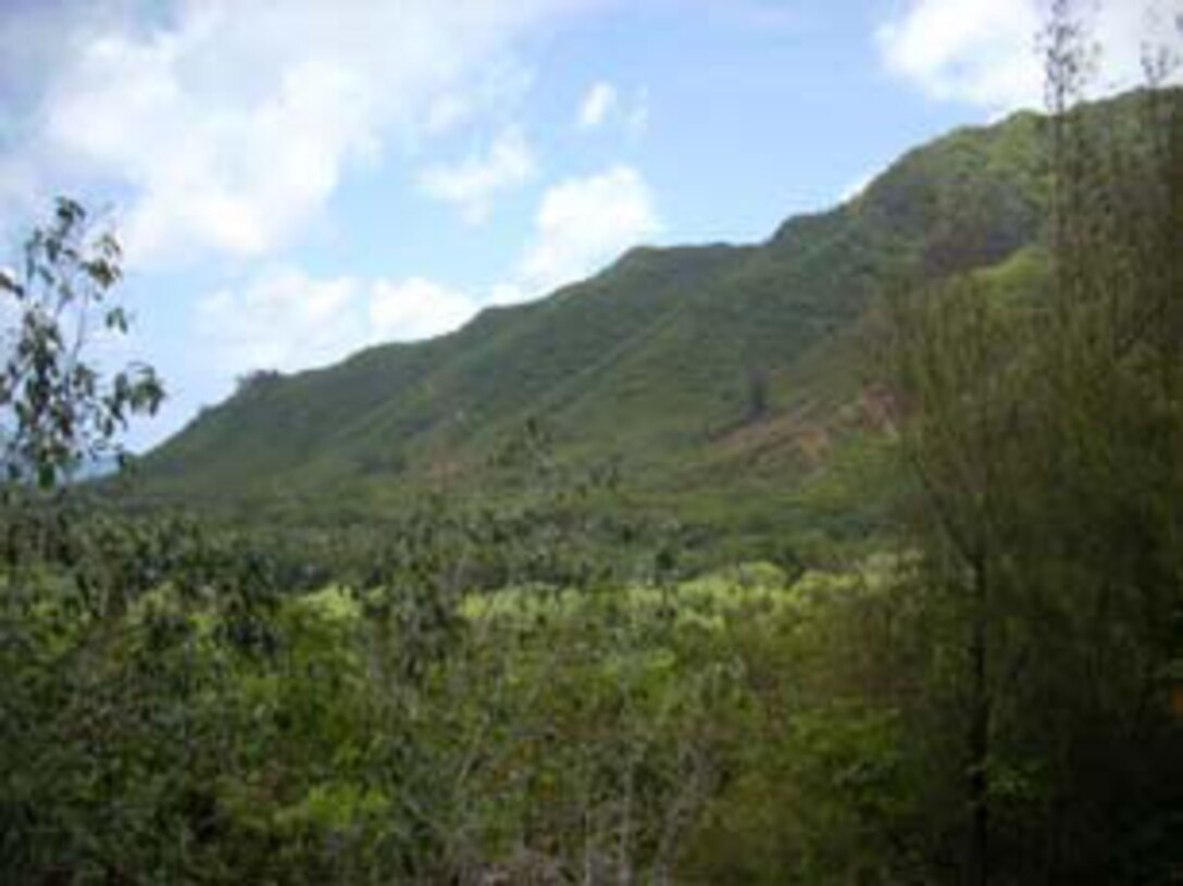 Punaluu Valley is the northwestern of the two valleys that comprise the former Pacific Jungle Combat Training Center.