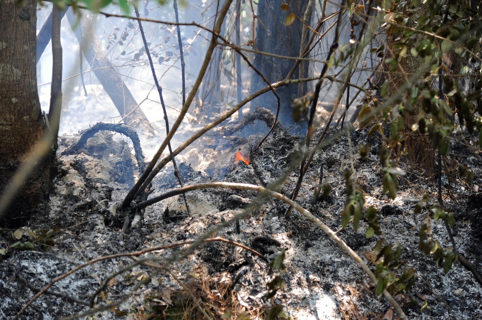 A small flame still smolders in the aftermath of a wildfire that burnt in the woods bordering Gator Lakes golf course May 29, 2012 at Hurlburt Field, Fla. The 1st Special Operations Civil Engineer Squadron’s fire department aided in responding to the fire. (U.S. Air Force photo by Airman 1st Class Michelle Vickers)(Released)
