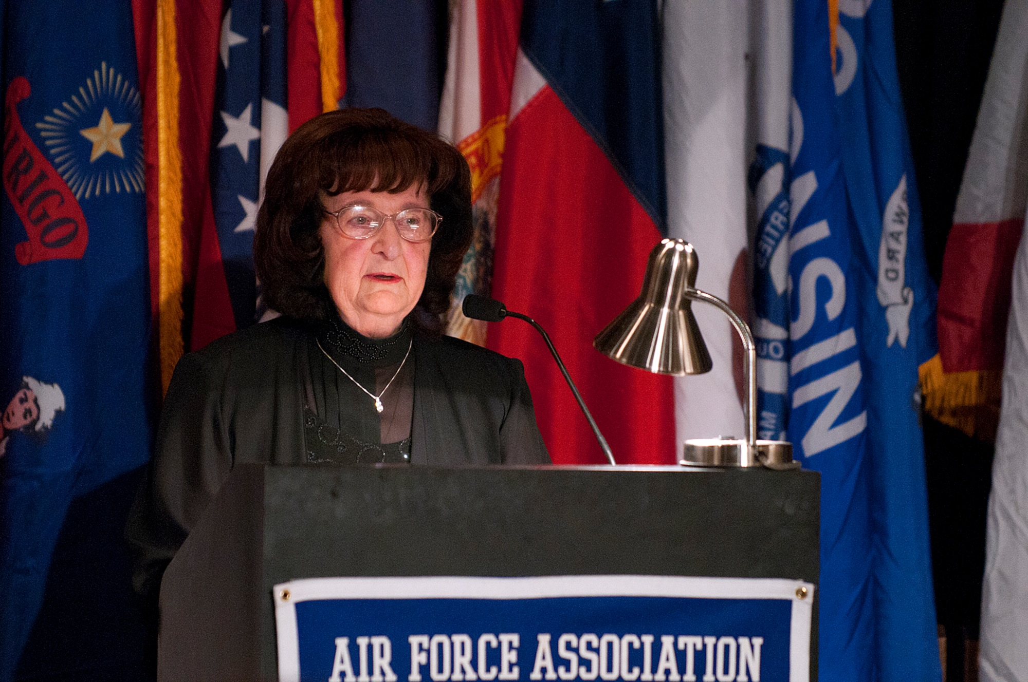 Irene Johnigan, Air Force Association Cheyenne Cowboy Chapter 357 president, addresses the AFA’s Armed Forces Day Banquet in the Cheyenne Holiday Inn May 18. (U.S. Air Force photo by R.J. Oriez)