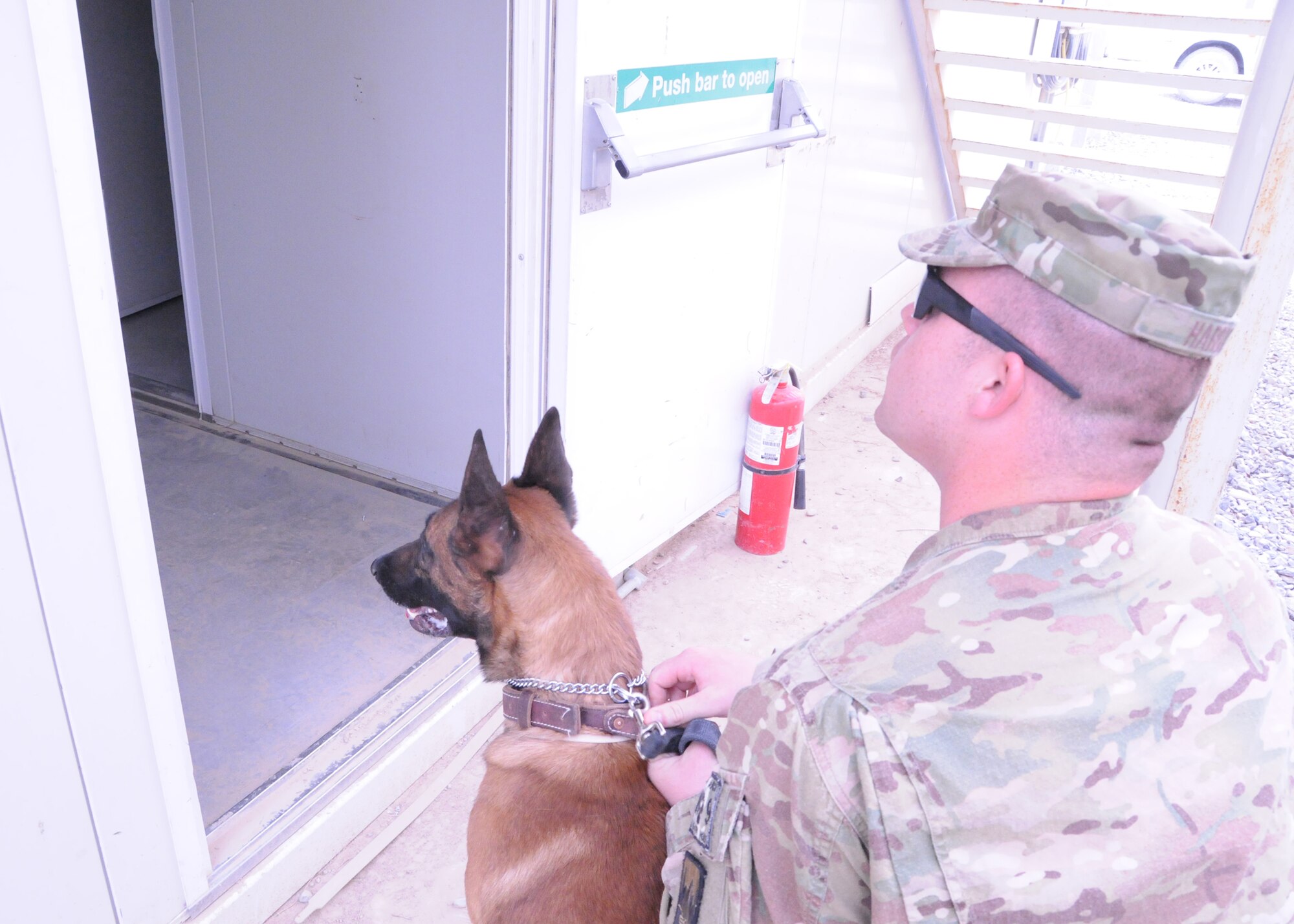 Staff Sgt. Brandon Hardy, a USFOR-A military working dog handler here at Kandahar Airfield, Afghanistan, notifies the person inside of the building to come out or he will send in the MWD, Gaskon, May 25, 2012. This building search exercise is designed to hone the MWDs search skills when apprehending fleeing suspects. (U.S. Air Force photo/Staff Sgt. Heather Skinkle)