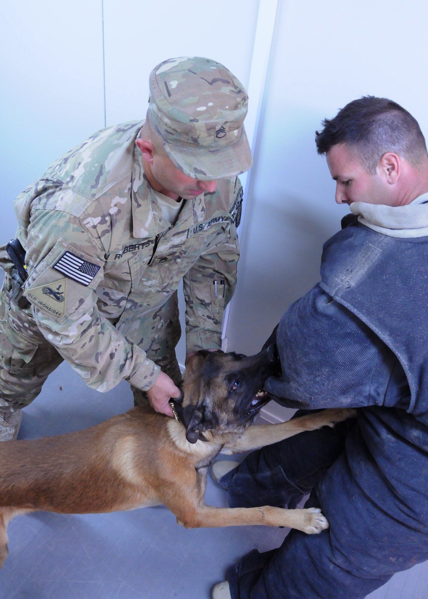 Staff Sgt. Timothy Roberts (left), a USFOR-A military working dog handler here at Kandahar Airfield, Afghanistan, pulls a MWD, Gaskon, off of Staff Sgt. Joshua Hoffman (right), another MWD dog handler in a bite suit, May 25, 2012. Hoffman donned the suit to protect himself from harm during this building search exercise designed to hone the MWDs search skills when apprehending fleeing suspects. (U.S. Air Force photo/Staff Sgt. Heather Skinkle)