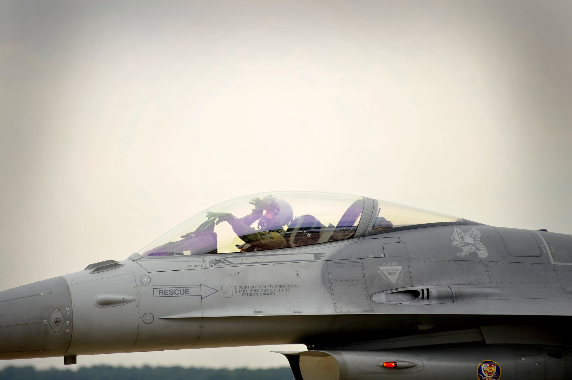 A U.S. Air Force F-16 Fighting Falcon fighter pilot assigned to the 79th Fighter Squadron "Tigers" uses hand gestures to represent his squadron while taxiing into formation to participate in an elephant walk during an Operational Readiness Exercise, May 22, 2012, Shaw Air Force Base, S.C. An elephant walk occurs when aircraft taxies down the runway in large numbers, which represents the ability to generate a large number of aircraft needing to take off rapidly for a military response. (U.S. Air Force photo by Senior Airman Kenny Holston/Released)


