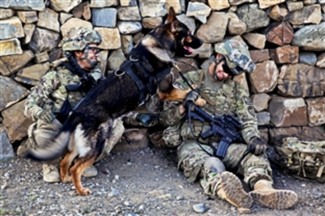 U.S. Army Pfc. Chris Kunze, right, relaxes with his military working dog in Khoni Ghar in Afghanistan's Khost province, May 27, 2012. Kunze, a cannon crewmember, is assigned to the 2nd Battalion, 377th Parachute Field Artillery Regiment.