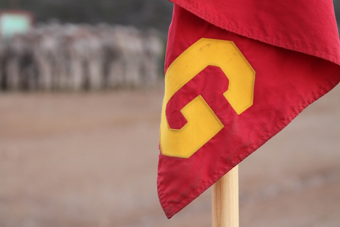 The recruits of Company G, 2nd Recruit Training Battalion, earned their Eagle, Globe, and Anchors and the title Marine Oct. 25 aboard Marine Corps Base Camp Pendleton, Calif. They are the first company in years that earned their Eagle, Globe, and Anchors on top of the Reaper.