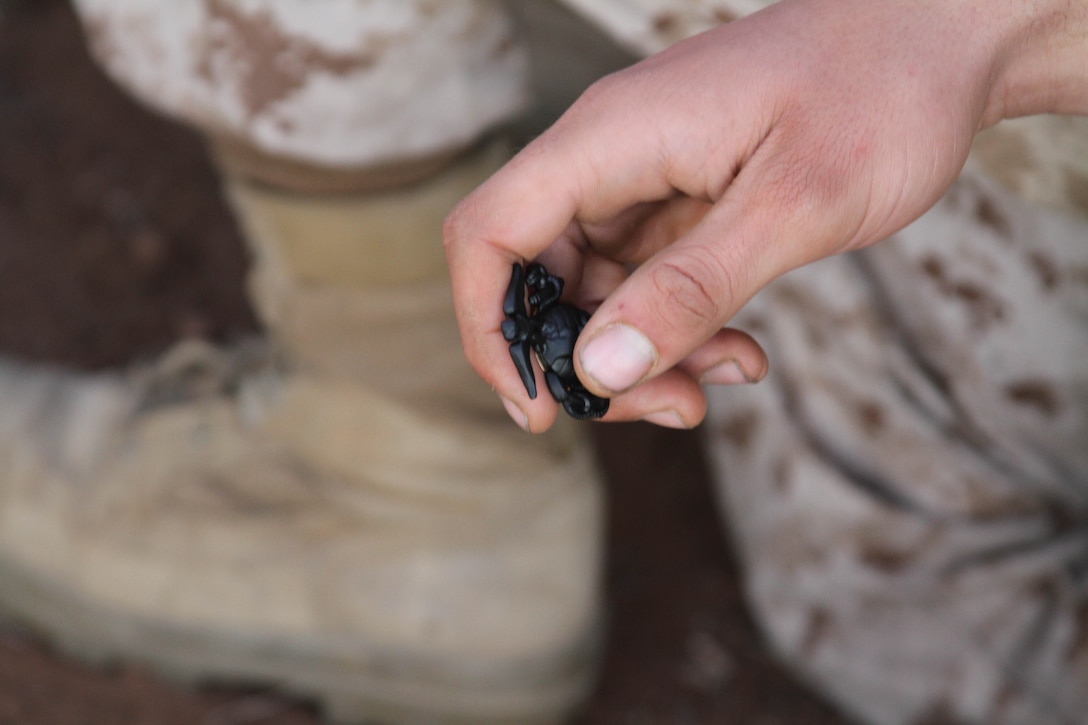 Earning the Eagle, Globe, and Anchor symbolizes the transformation from recruit to Marine. This is the one moment that the recruits of Company G, 2nd Recruit Training Battalion have worked so hard for. They are the first company in many years that have earned their Eagle, Globe, and Anchor on top of the Reaper. 