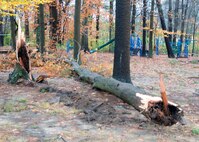 HANSCOM AIR FORCE BASE, Mass. – A tree lays near a playground between the Youth Center and the Hanscom Middle School Oct. 30 as a result of strong winds from Hurricane Sandy that hit the east coast last weekend. Civil engineering crews are working to remove fallen trees and debris, as well as repair any damage caused from the storm. (U.S. Air Force photo by Mark Wyatt)