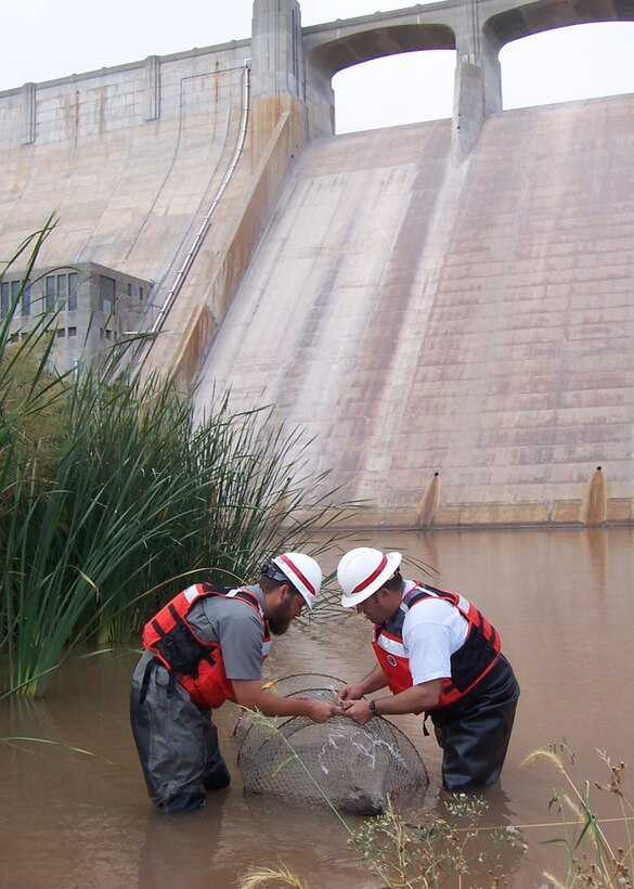 CONCHAS DAM, N.M., -- Albuquerque District Ranger Michael Vollmer and Maintenance Worker Carl Latham endured mosquitoes and leeches while setting the turtle traps.