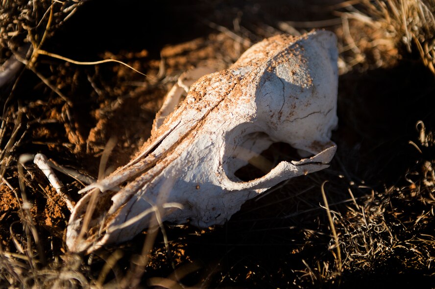 The dry arid desert of Melrose Air Force Range, N.M., serves as a temporary home to Airmen with the 27th Special Operations Wing at Cannon Air Force Base, Oct. 29, 2012. Aircraft maneuvered troops and cargo from agencies across Cannon to better prepare personnel for potential real-world events. (U.S. Air Force photo/Staff Sgt. Matthew Plew)
