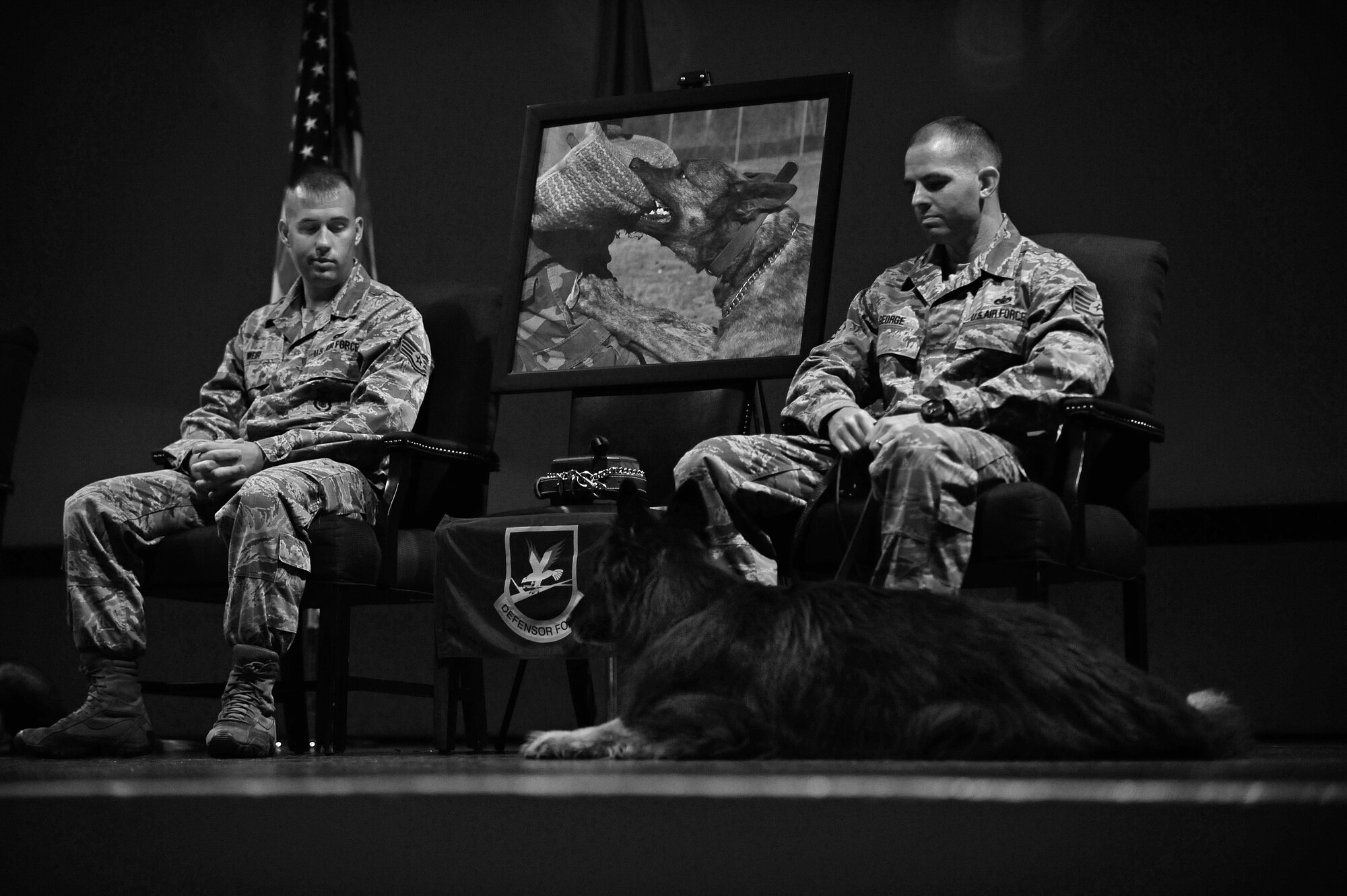 U.S. Air Force Staff Sgts. Bruce Weir and Forrest George, 4th Security Forces Squadron military working dog handlers, accompany Frisco, retired MWD, on stage during a retirement ceremony on Seymour Johnson Air Force Base, N.C., Oct. 26, 2012. Frisco deployed three times during his 12 years of service in the Air Force. (U.S. Air Force photo/Airman 1st Class Aubrey White/Released)