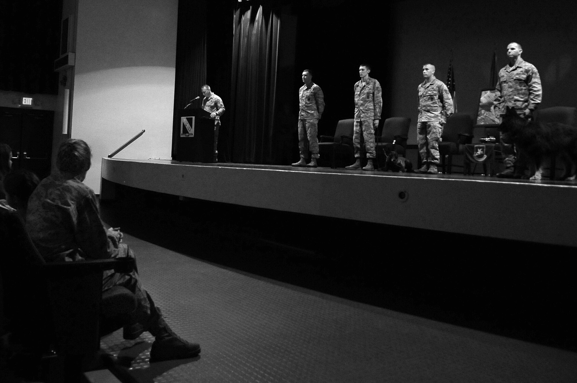 U.S. Air Force Airmen assigned to the 4th Security Forces Squadron and retired military working dogs participate in a retirement ceremony on Seymour Johnson Air Force Base, N.C., Oct. 26, 2012. Three dogs were retired after each serving for more than a decade in the Air Force. (U.S. Air Force photo/Airman 1st Class Aubrey White/Released)